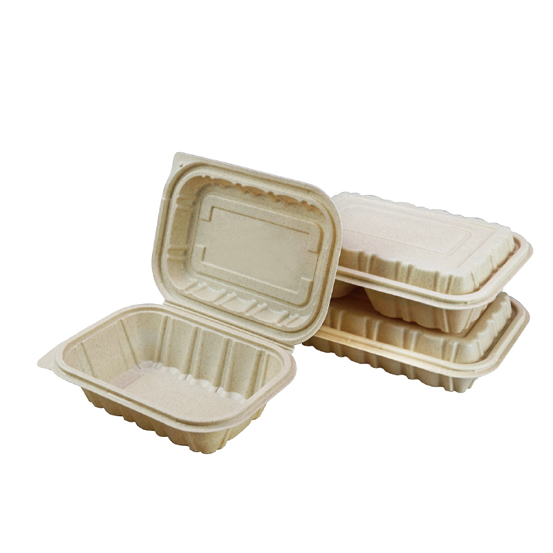 Planat Fiber Hinged Food Container