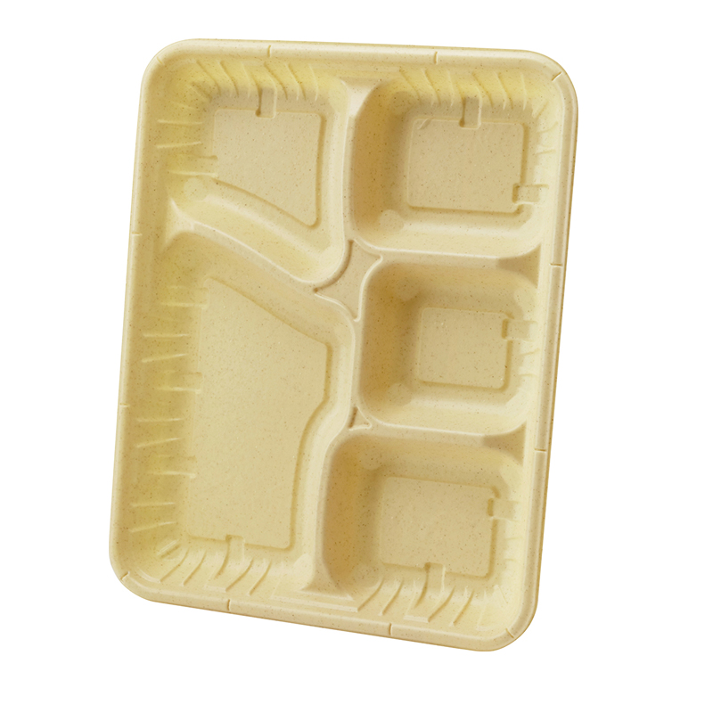 10.4 inch Rectangular Disposable Biodegradable Plate 10.4x8.4x1inch 108-1