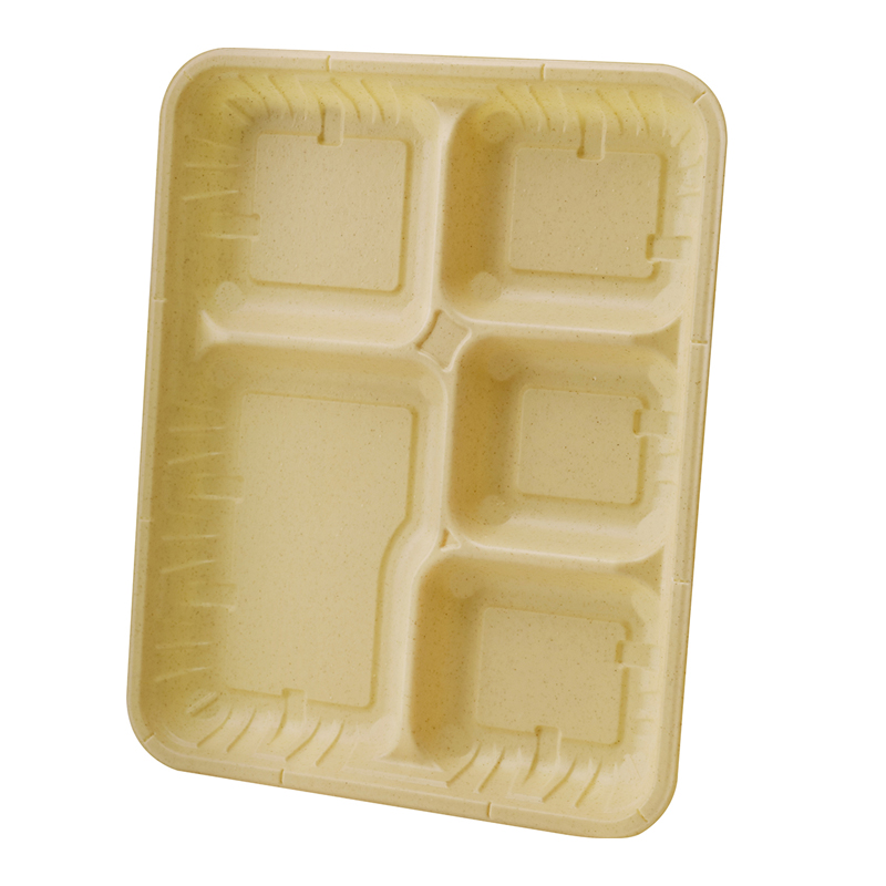 10.4 inch Rectangular Disposable Biodegradable Plate 10.4x8.4x1inch 108-2