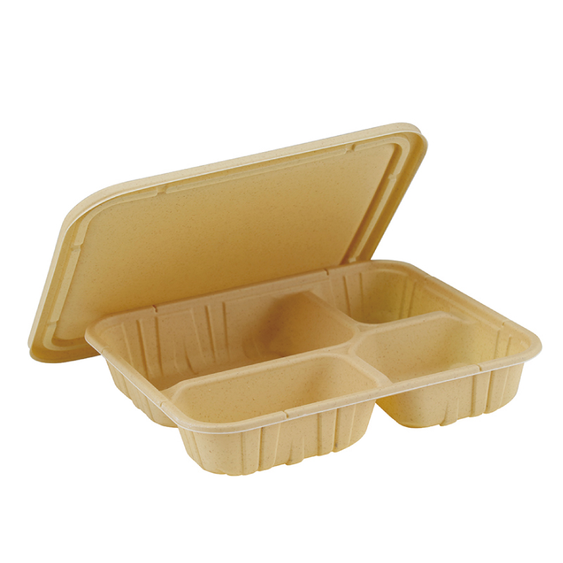 Rectangular Disposable Biodegradable Container MT-CH4