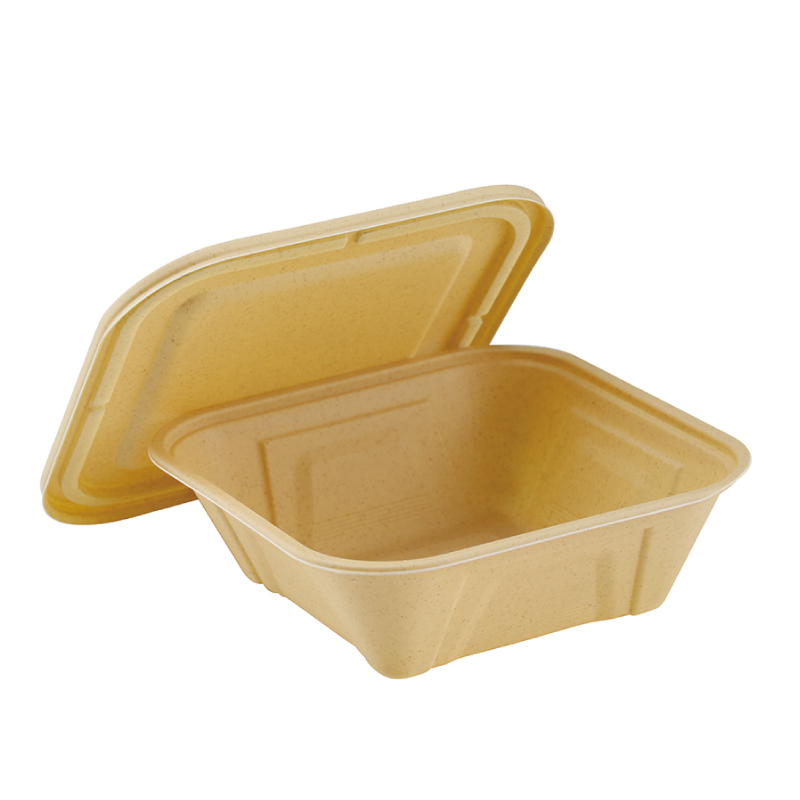 Rectangular Disposable Biodegradable Container MT-SF700ML